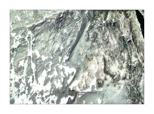 Figura 4. Imagen de la morrena en la ortofoto de Google Earth. En el sentido del desplazamiento del glaciar, la estructura toma una dirección NNE. (Hacer click sobre la imagen para ver una versión ampliada). 