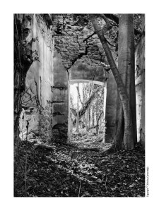 BanysEstadilla_LladonerInterior