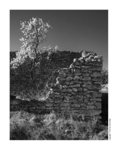 Feu click a la imatge per veure’n una versió ampliada – Click on the image for a larger view – Hacer click en la imagen para ver una versión ampliada