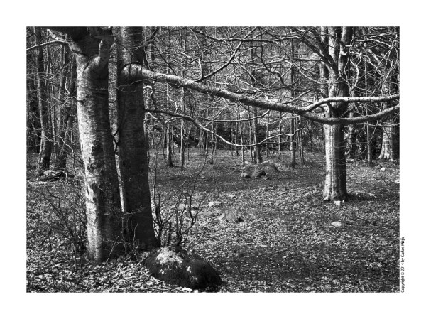 VallConangles_TwinFaig