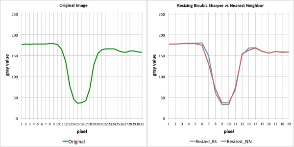 OriginalvsResizing_Plot_H2