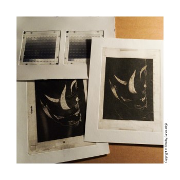 Proves_Toyobo_EucaliptusTestTarget