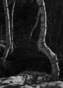 VallMulleres_BedollsV_Full