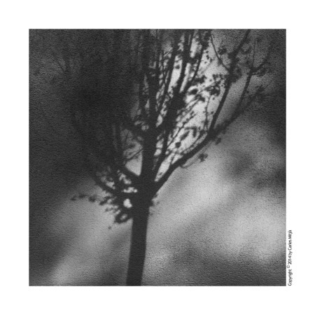 Arbre_Neg