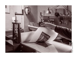 MaTorcul_Estampa_Monocrom_800pix