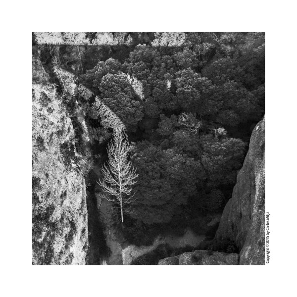 Week51_02Feb_08Feb_2015