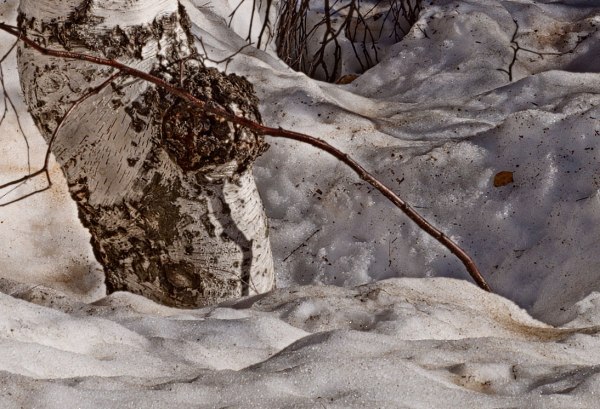 MulleresBedolls_HDR_sector100%