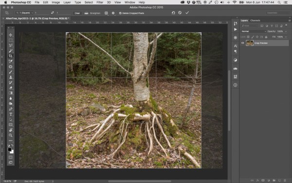 Sceen_Cropping_Apr2015