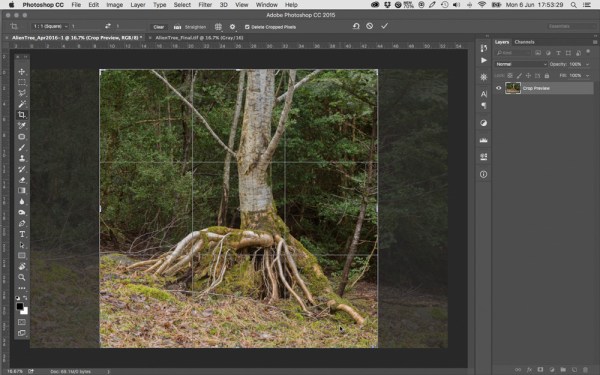 Sceen_Cropping_Apr2016