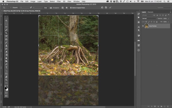 Sceen_Cropping_Nov2014