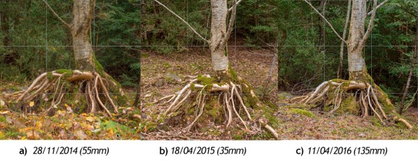 Sceen_Cropping_Squared_x3