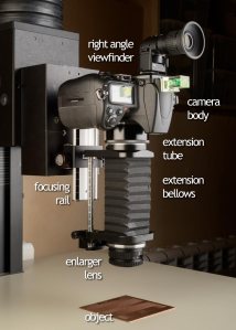 Photomacrography_Plate_MkOf